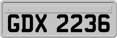 GDX2236