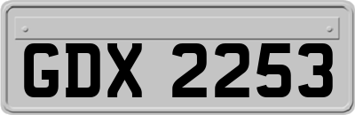 GDX2253