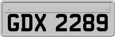 GDX2289