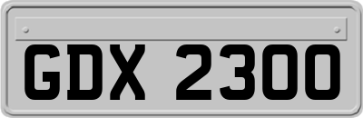 GDX2300