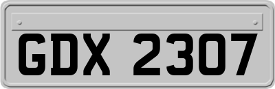GDX2307