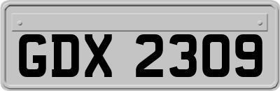 GDX2309