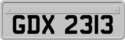 GDX2313