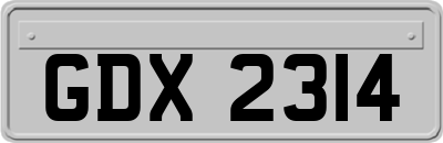 GDX2314
