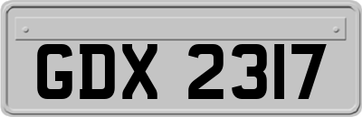 GDX2317