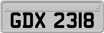GDX2318