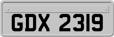 GDX2319