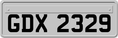 GDX2329