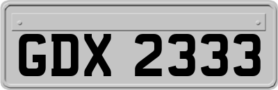 GDX2333