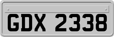 GDX2338