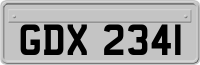 GDX2341