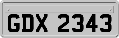 GDX2343