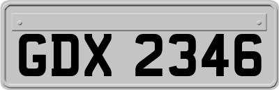 GDX2346