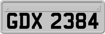 GDX2384