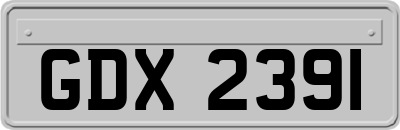 GDX2391