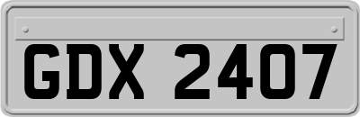 GDX2407