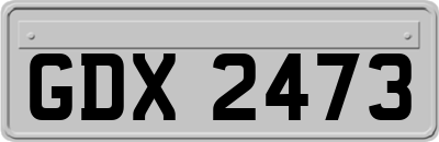 GDX2473