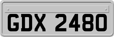 GDX2480