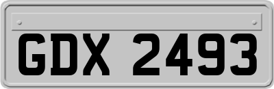 GDX2493