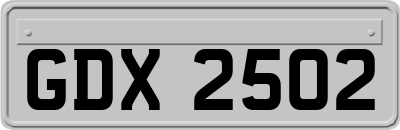 GDX2502