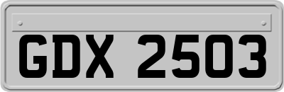 GDX2503