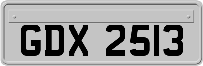 GDX2513