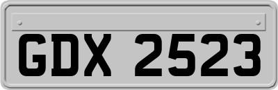 GDX2523