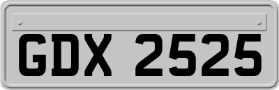 GDX2525