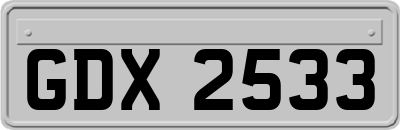GDX2533