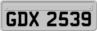 GDX2539