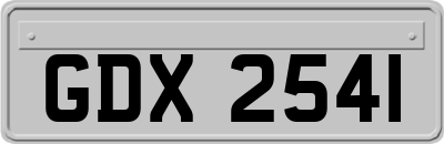 GDX2541