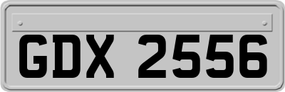 GDX2556