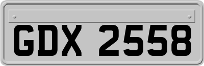 GDX2558