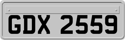 GDX2559