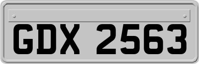 GDX2563