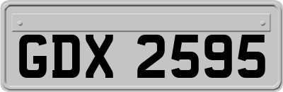 GDX2595