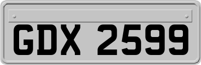 GDX2599
