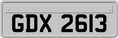 GDX2613
