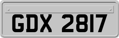 GDX2817