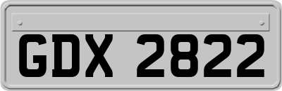 GDX2822