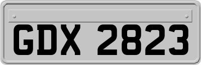 GDX2823