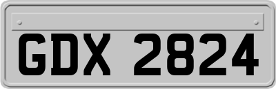 GDX2824
