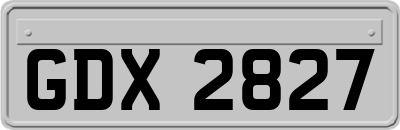 GDX2827