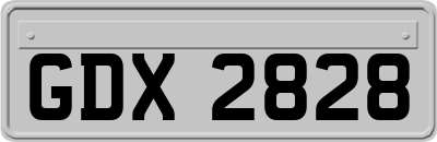 GDX2828