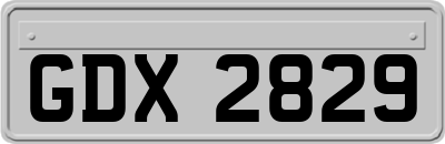 GDX2829