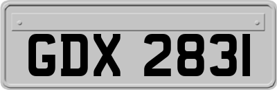 GDX2831