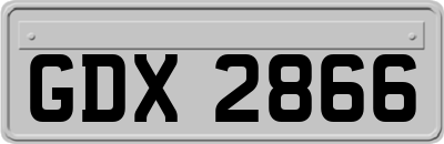 GDX2866