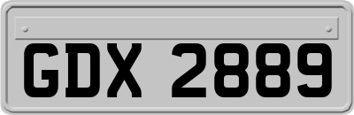 GDX2889