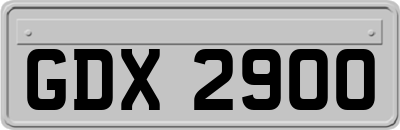 GDX2900