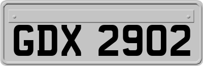GDX2902